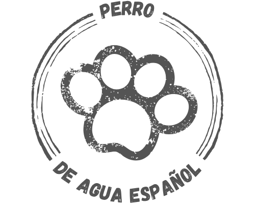 Perro de Agua Español